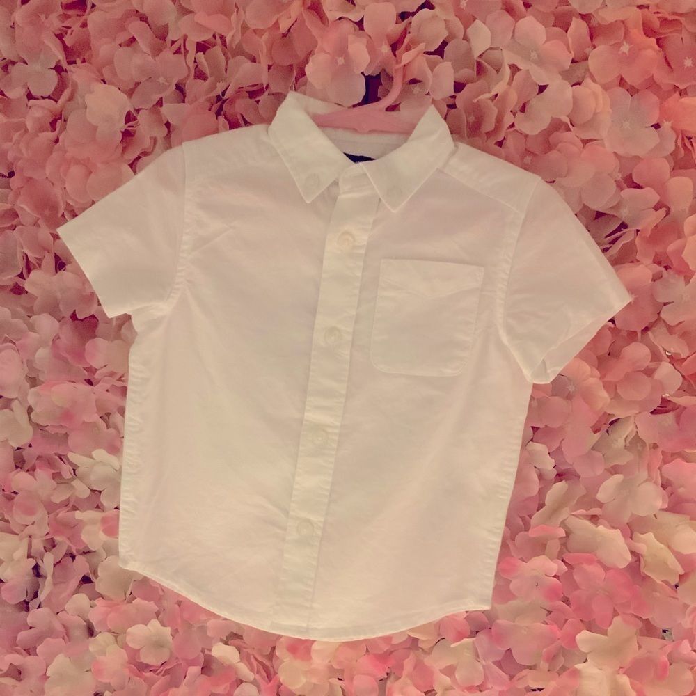 Button Down Shirt